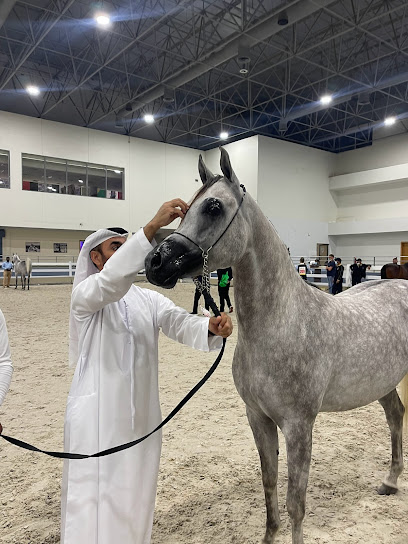 استاد بن صبيح للخيول العربية - United Arab Emirates|Al Wathba - Abu Dhabi
