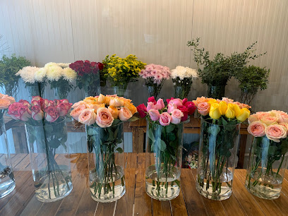 أزهار نبتة - عجمان - +971 50 373 7661