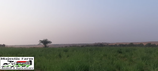 المزرعة ماجستيك -العين MAJESTIC FARM - AL AIN - عجمان - +971 50 718 0232