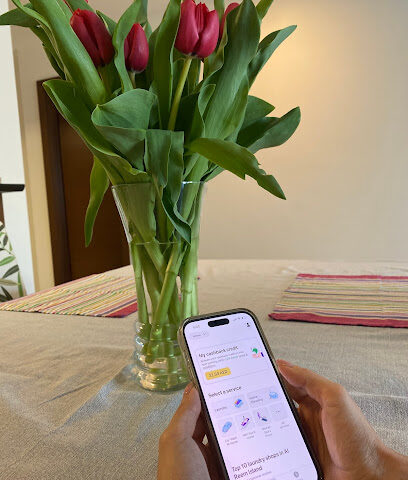 فقط نظف - دبي - +971 50 834 4900