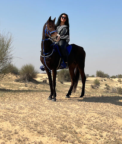 تجربة ركوب حصان الصحراء MS9 دبي - دبي - +971 55 233 2677