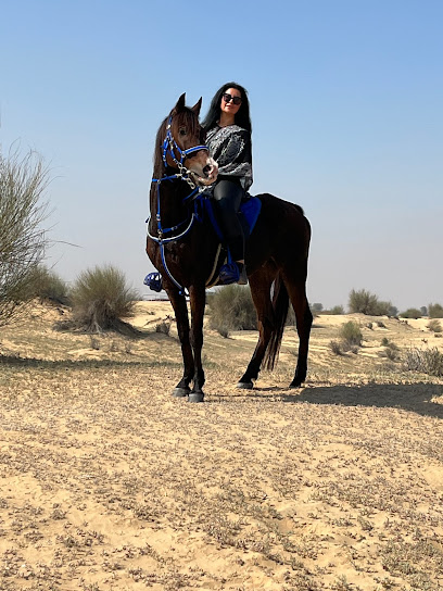تجربة ركوب حصان الصحراء MS9 دبي - United Arab Emirates|Dubai|Al Rawayha