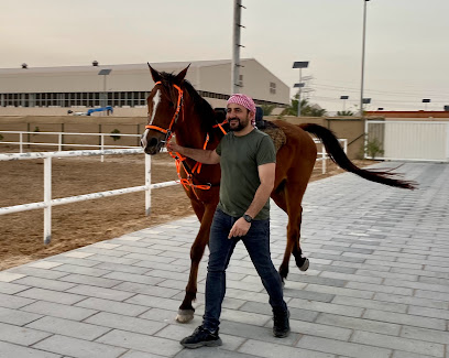 ركوب الخيل وتجربة الخيول في إكوايلاند ركوب الخيل - دبي - +971 52 386 9114