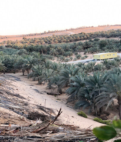 جمعه بوغنوم الهاملي - عجمان -