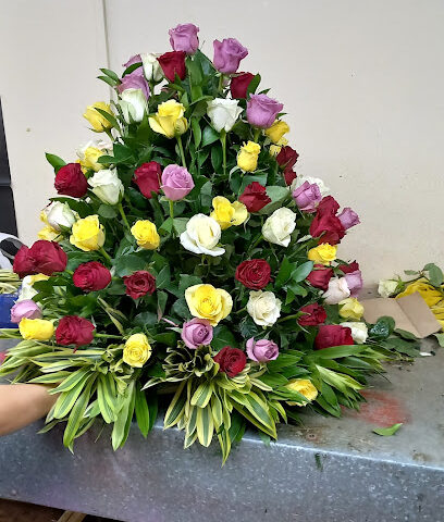 شركة قرطبة للزهور - عجمان - +971 6 566 7755