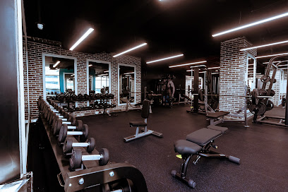 نادي تايجر الصحي - دبي - +971 56 433 4933