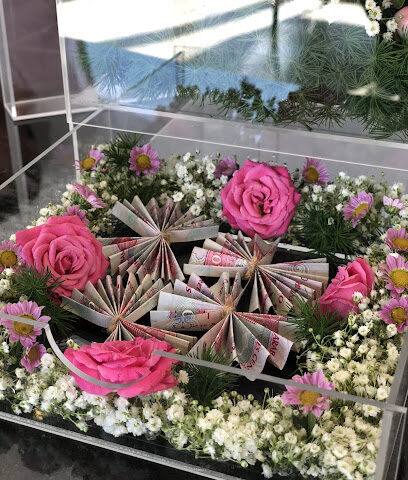 ورود نوفا - عجمان - +971 50 959 0992