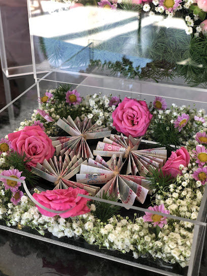ورود نوفا - United Arab Emirates|Fujairah|Opposite of Al Taif Mall مقابل|الطيف مول
