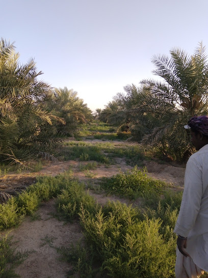 آلان أم غافة - United Arab Emirates|Al Dhahir - Abu Dhabi