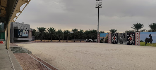 بطولة عجمان لجمال الخيول العربية - دبي -