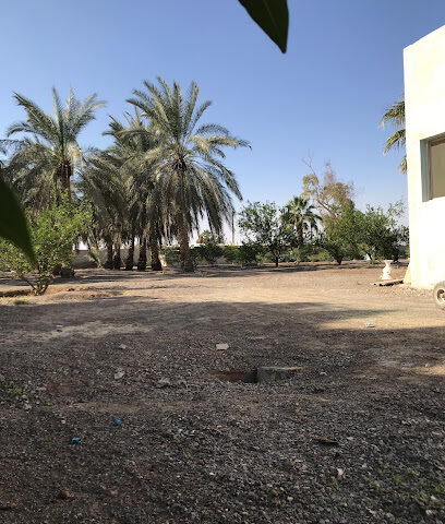 مزرعة حسين باقر - عجمان -