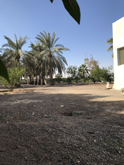 مزرعة حسين باقر - United Arab Emirates|Sharjah|7WFQ+448