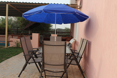 مزرعة المدفيك - عجمان - +971 56 814 4778
