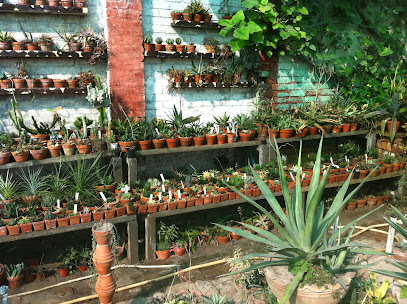agriQuarTiles - دبي - +92 345 5858443