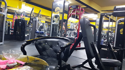 المرجان لمبنى الجسم - دبي - +971 56 633 4898