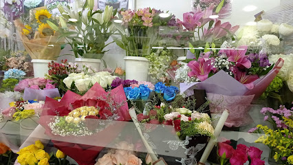 زهور صن فالي - عجمان - +971 4 266 6953