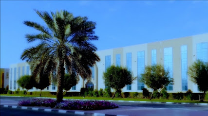 دبليو دبليو إل الشرق الأوسط (م م ح) - عجمان - +971 6 557 5155