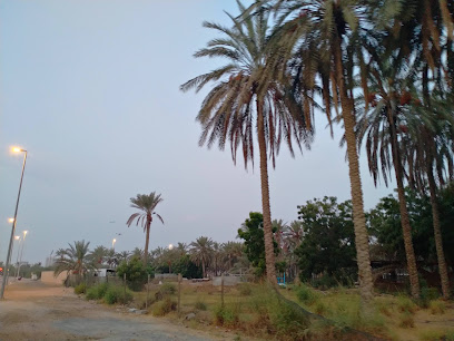 مزارع - دبي -