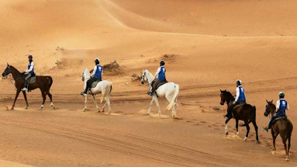 اسطبلات المدام - دبي - +971 50 911 1877