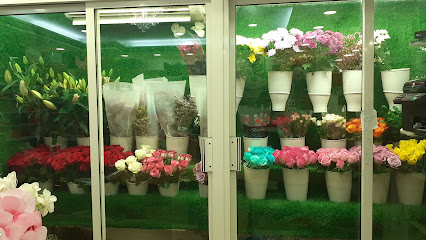 محل البنفسج للزهور - عجمان - +971 56 300 4350