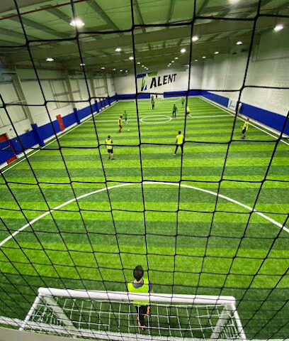 Talent Ball - تالنت بول - دبي - +971 50 592 9731
