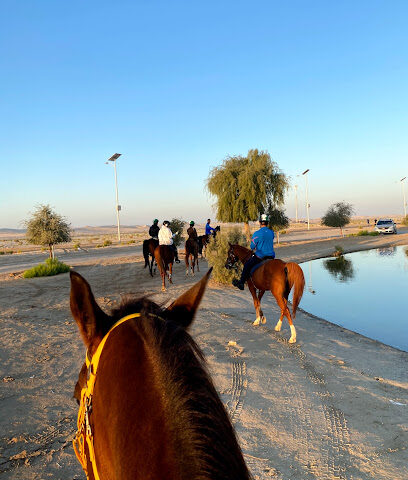 نادي ربدان للفروسية - عجمان - +971 50 596 6621