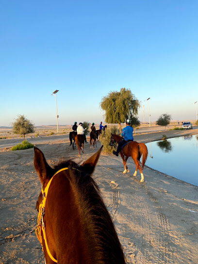 نادي ربدان للفروسية - United Arab Emirates|Al Wathbah - Abu Dhabi|5QG5+MFR