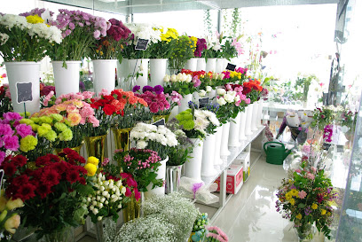 زهور ملحوظة ان بی للزهور - عجمان - +971 9 222 2004