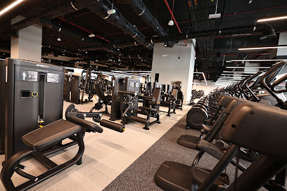 ويل فيت جي في سي - عجمان - +971 4 702 0700