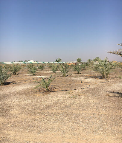 مزرعة الشاعر - عجمان -