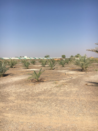 مزرعة الشاعر - United Arab Emirates|Sharjah|7XR9+9G4