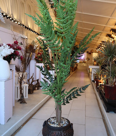 روتس بوتيك - عجمان - +971 54 430 3115