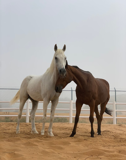 ملاذ بادوك الجنة - United Arab Emirates|Umm Al Quawain|Unnamed Road