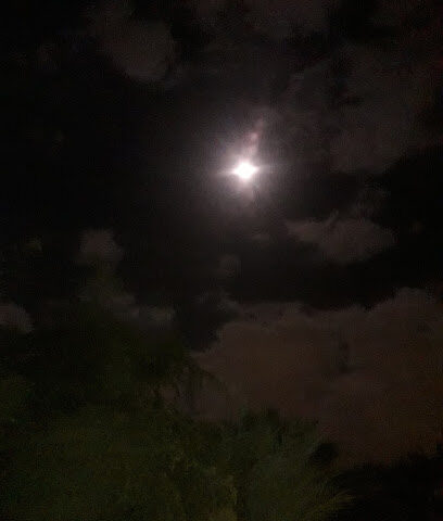 رفيق - دبي -