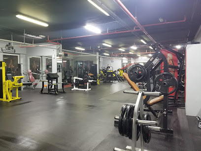 Den OEVER GYM - دين ويفر جيم صالة رياضية - دبي - +971 9 606 1968