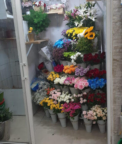 الفيروز للزهور - عجمان - +971 6 556 6007