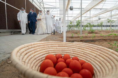 مشروع الصوبات الزراعية في مدينة الذيد - عجمان -