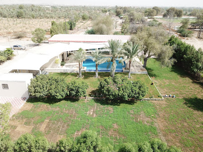 مزرعة الإخفاء - عجمان - +971 50 558 5649
