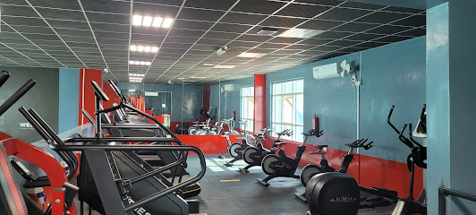 ويلفيت GYM - دبي -