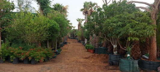 حدائق لندن - دبي - +971 58 974 9824