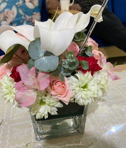 نباتات عربية - عجمان - +971 50 653 1300
