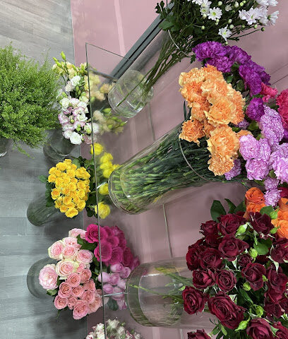زهور الخمسينيات - عجمان - +971 50 363 2265
