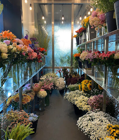 فاين بلومز - عجمان - +971 52 333 1122