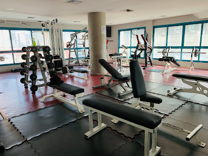 مركز بلاتينيوم للصحة واللياقة البدنية - عجمان - +971 9 222 0733