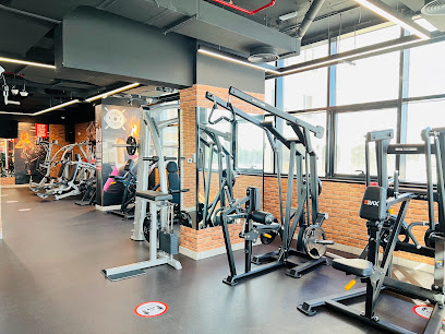 مركز اللياقة البدنية Body Abs - دبي - +971 2 565 6606