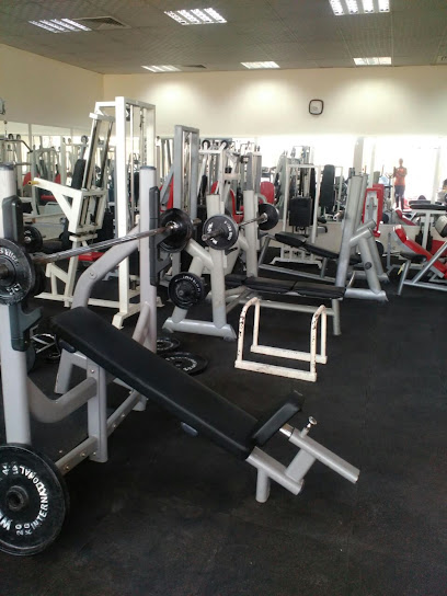 نادي الجوهرة لكمال الأجسام ذ - United Arab Emirates|Masafi - Fujairah|Al Jawharaa for Bodybuilding Club