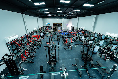 باور باك جيم - دبي - +971 54 565 5300