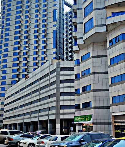 فالكون جيم - دبي - +971 52 337 5609