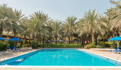 اليجانس سبا سي بي آر إس - دبي - +971 55 610 3082