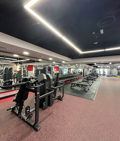 قرية الأعمال متروفيت - دبي - +971 52 821 9899